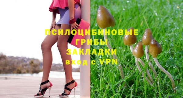apvp Арсеньев